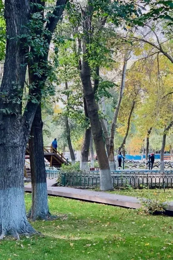 如何利用高科技设备解决篮球训练中的常见问题_2