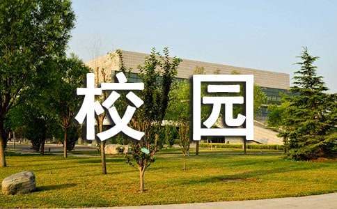 女性篮球运动员如何利用高科技优化训练_2